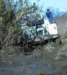 #10030_croped.jpg