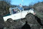 #10046_croped.jpg