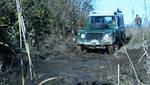 #10048_croped.jpg