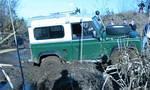 #10060_croped.jpg