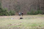 April 1&2 2006 041.jpg