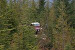 April 1&2 2006 115.jpg