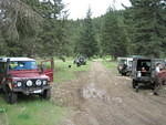 Picture 005