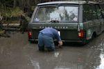Buttners Spences ABFM Alfa 037.jpg
