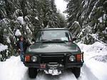 Bailey in winter wonderland.jpg