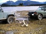 Bernie pulls up in his D110 to help with a pull out.