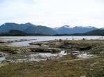 View looking out over Stave Lake.
