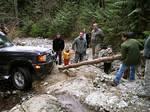 The log trick did not work - what about the jackall?