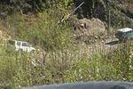 East Side Fraser River 033.jpg