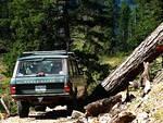 Andy eases the Rangy past the fallen tree.