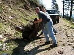 Dave & Andy on stump removal.