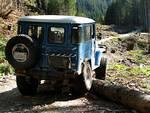 Pete in his Land Cruiser at the tree.