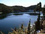 Sayres Lake.