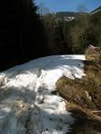 This was as far as we all could get. Too much snow on the backside of Dog Mtn.