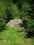 So... probably lots & lots of fallen trees on the other side, if no one had been over the bridge in awhile.