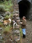 Dave, Oliver & Willow checking out the N K & S tunnel.