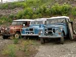 Some old Series trucks.