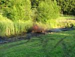 David Sutfin's friend Jonathan has a go in the mud with his dirt bike.