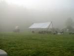 Base Camp in the Sunday morning mist.