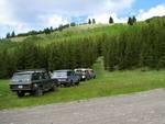 Looking up toward the meadow hill.