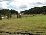 On the way up to the Placer Mtn. summit. The snow was not long gone.