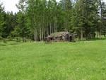 Pamela & the pups wandered off (with bear spray) to check out the abandoned site up ahead.