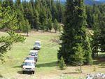 June 20060052.JPG
