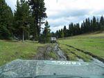June 20060066.JPG