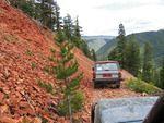 June 20060067.JPG