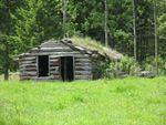 June 20060072.JPG