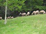 June 20060090.JPG