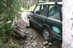 IMG_1273.jpg