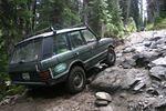 IMG_1274.jpg