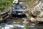 IMG_1338.jpg
