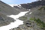 IMG_1344.jpg
