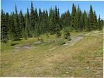 The upper meadows. We are happy to report that there was no further damage to the meadows and the Subaru was gone!