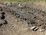Again most of the well-used mud playing areas seemed to show no more damage and had not been used in awhile.