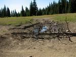 We pulled this broken tree across once more and propped the broken sign in it.
