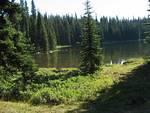 Lodestone Lake in the morning sunlight.