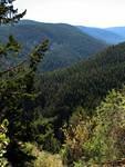 A look out from the Blakeburn site.