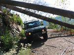 04. Squeezing under fallen trees.JPG