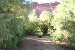 IMG_1435.jpg