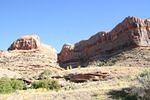 IMG_1436.jpg