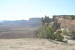 IMG_1444.jpg