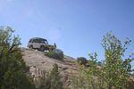 IMG_1446.jpg