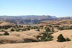 IMG_1486.jpg