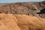 IMG_1490.jpg