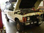 83, Need to do the back now, nice Duck from Leavenworth.JPG
