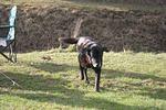 Blair Ranch 044.jpg