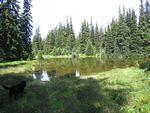 6Many lakes left for bugs.jpg